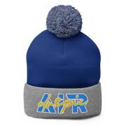 AIR DR. EPIC - Signature - Beanie - Style 2410