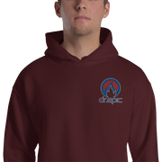 DR. EPIC – Men & Women Hoodie – Style 234