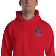 DR. EPIC – Men & Women Hoodie – Style 234